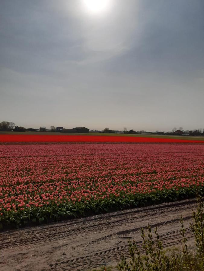 Villa Groot Familiehuis Voor 6 Personen In Landelijke, Rustige Omgeving à Breezand Extérieur photo