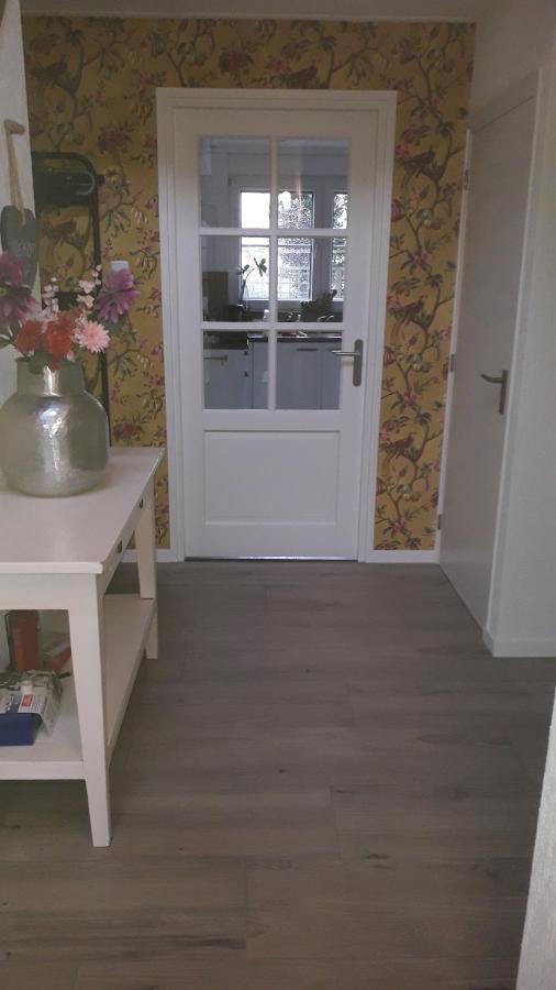 Villa Groot Familiehuis Voor 6 Personen In Landelijke, Rustige Omgeving à Breezand Extérieur photo